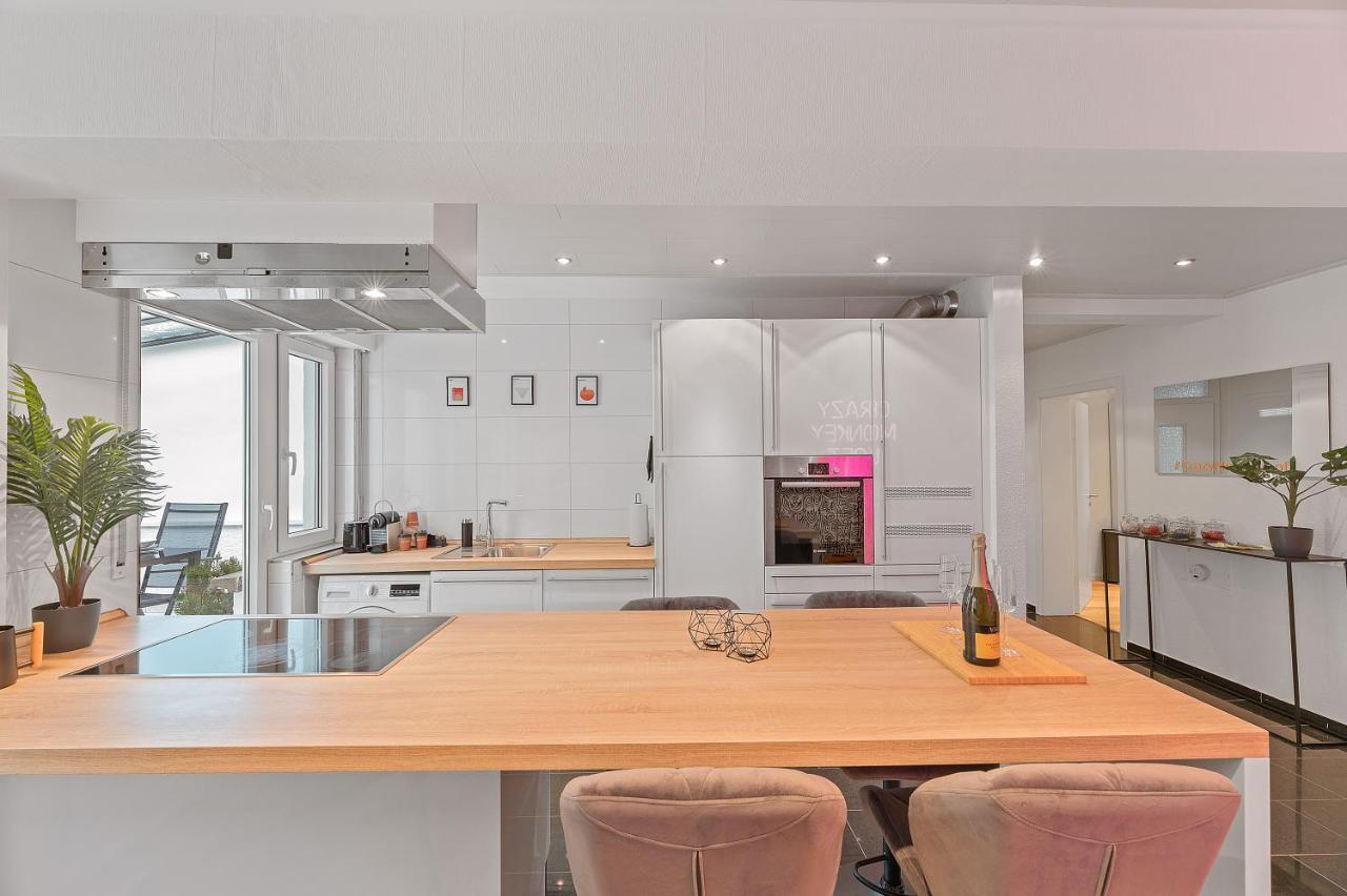 斯图加特Das Crazy Monkey Loft Mit 100Qm & Summerlounge公寓 外观 照片